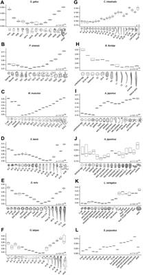 Derivedness Index for Estimating Degree of Phenotypic Evolution of Embryos: A Study of Comparative Transcriptomic Analyses of Chordates and Echinoderms